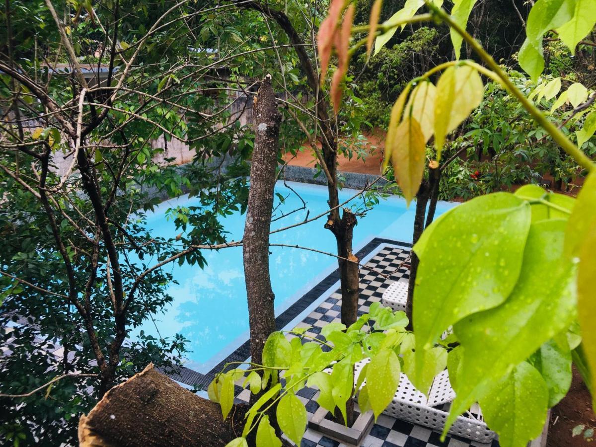 Alikele Hotel & Resort Sigirîya Extérieur photo